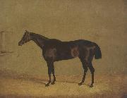 John Frederick Herring The Racehorse 'Mulatto' in A Stall oil painting on canvas